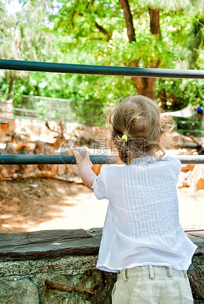 小女孩在动物园里看动物青年鸟舍野生动物童年女性乐趣栅栏快乐孩子图片