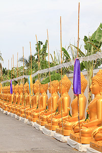 一排金佛像佛教徒文化雕塑宗教冥想旅行金子假期旅游纪念碑图片