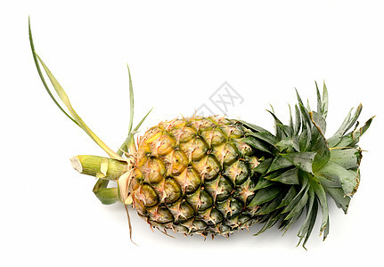 孤立的菠萝食物农业烹饪绿色健康农场植物学热带黄色白色图片