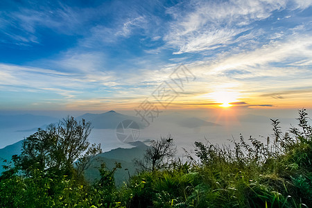 清晨在山上起日出植物旅行爬坡环境首脑阳光叶子全景日落顶峰图片