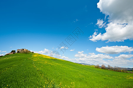 农庄园天空农村农场土壤小路农家爬坡小麦母猪阳光图片