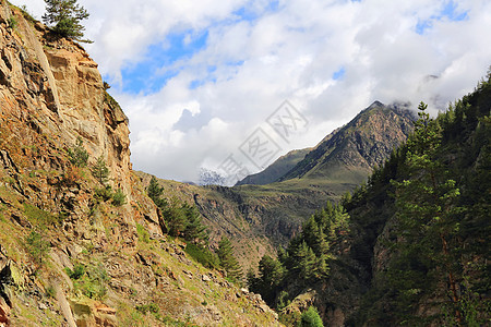 高加索山脉 Dombai全景首脑悬崖旅行石头叶子风景季节木头荒野图片