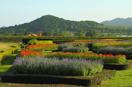 热带花园图片