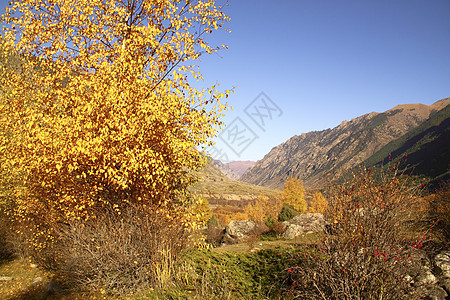 秋秋山地貌蓝色褐色树叶白色天空灰色石头岩石黄色衬套图片