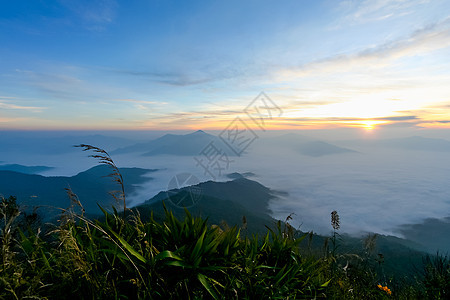 清晨在山上起日出日落风景天空薄雾叶子太阳高地顶峰植物天气图片