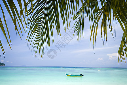海滩沙滩棕榈蓝色海景热带海浪阳光海洋椰子旅行闲暇图片