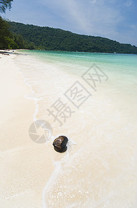 海滩沙滩旅游海景情调叶子支撑假期海浪热带游客天堂图片