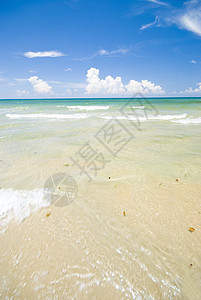 空白蓝沙滩图片