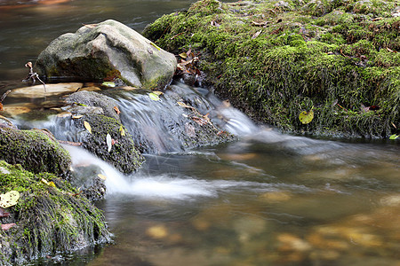 大溪 自然的景象流动苔藓溪流公园季节叶子岩石风景绿色石头图片