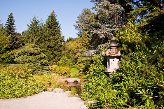 库博塔花园叶子花园风景灌木丛树木民众衬套季节植物学灌木图片