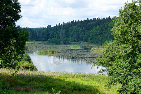 旧池塘乡村反射天空蓝色绿色森林图片