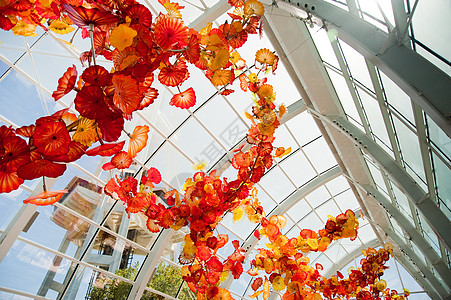 空间针和Chihuly玻璃城市地标吸引力圆圈花园建筑学观光艺术游客展示图片