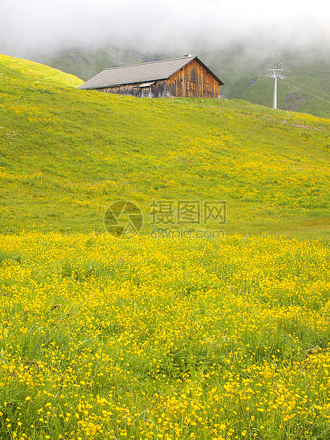 黄色草地上的瑞士小屋图片