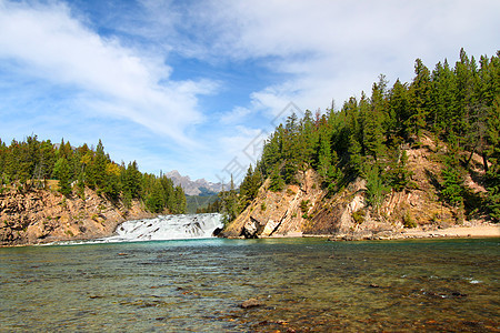 加拿大的场景生态公园栖息地荒野地形植被绿地风景森林图片