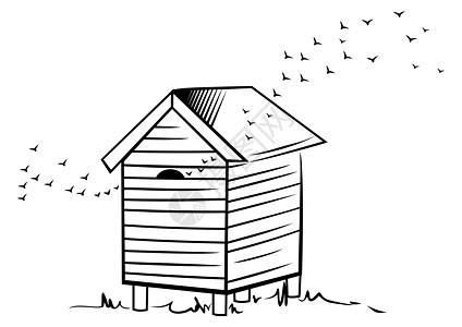 蜜蜂蜂巢建造昆虫插图蜂蜜农村白色盒子木头艺术生态图片