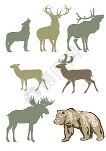 森林动物荒野鹿角野生动物猎人收藏动物园绘画驼鹿驯鹿哺乳动物图片