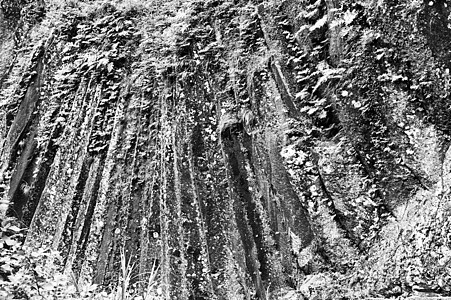 巴萨尔特黑色蕨类反差艺术岩石石头扇子白色条纹阴影图片