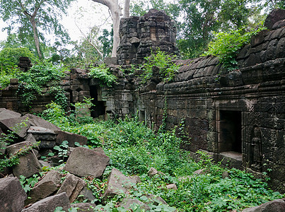 柬埔寨寺庙建筑学文化遗产石头丛林高棉语杂草宗教废墟叶子图片