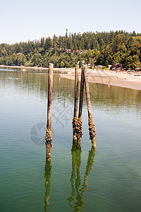 Kayak 点盐水海滩海岸环境日志季节木头邮政支撑码头图片