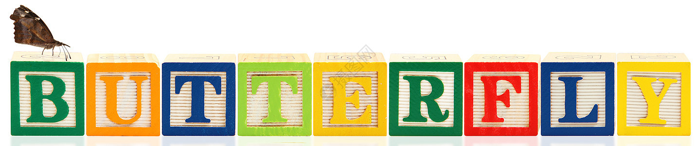 按字母顺序排列的区块积木白色棕色漏洞拼写教育昆虫蝴蝶概念玩具背景图片