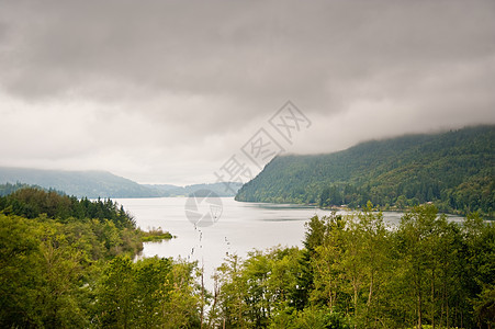 莱湖hacom通信风景盆地环境树木池塘场景植物图片