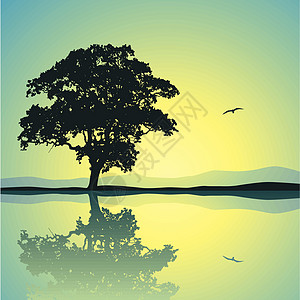 孤树日出日落地平线插图反射图片