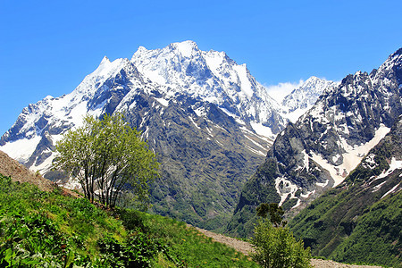 高加索山脉 Dombai下雪雪花石头顶峰岩石风景木头森林冷冻冰川图片