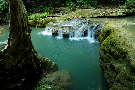 森林雨瀑布温泉公园石头热带旅行叶子绿色荒野森林季节背景