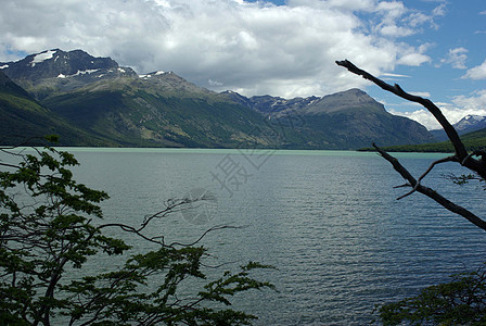 阿根廷景观 阿根廷顶峰海洋风景峡湾荒野海岸图片