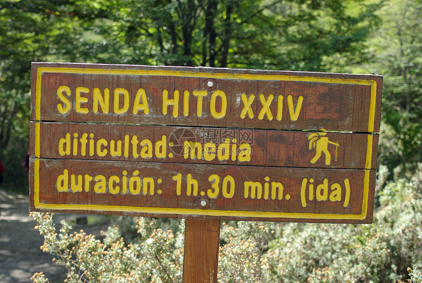 阿根廷路标站小路远足木板森林语言木头漫谈运动图片
