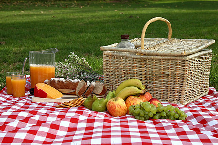 美味的彩虹弥漫野餐玻璃午餐柳条绿色公园果汁草地红色水果图片