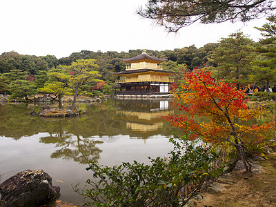 日本京都金宫寺金殿艺术旅行文化花园历史性地标建筑学遗产宗教公园图片