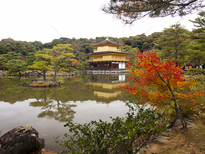 日本京都金宫寺金殿艺术旅行文化花园历史性地标建筑学遗产宗教公园图片