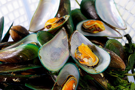 亚洲绿色贝类 海产食品 特写烹饪厨房贝壳饮食食物甲壳动物蔬菜篮子香菜图片