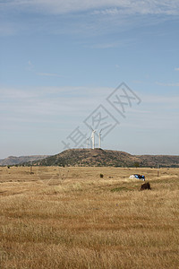 印地德乡村地带草地陆块风车场地图片