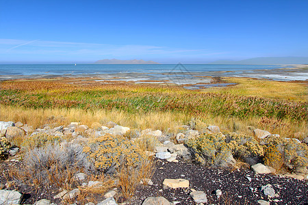 大盐湖州公园矿物质城市盐水栖息地旅行地形植物公寓植被公园图片