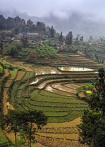 越南 Ban Pho 山区冬季风景图片