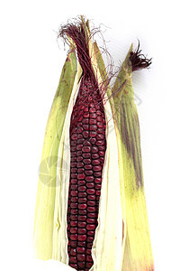 在白色背景上隔离的紫瓦西康纳文化营养盘子饮食棒子食物粮食植物玉米紫色图片