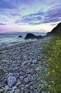 石头和海岸线图片