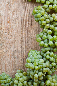 葡萄藤边框新鲜绿葡萄食物藤蔓甜点水果边框美食浆果小吃酒厂植物背景