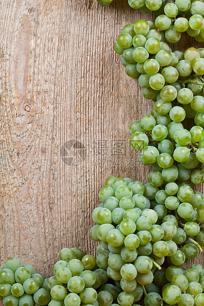 新鲜绿葡萄食物藤蔓甜点水果边框美食浆果小吃酒厂植物图片