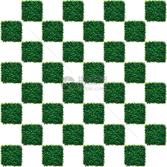 象棋董事会装饰模仿风格棋盘塑料纤维正方形游戏植物插图图片
