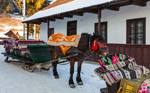 传统的罗马尼亚骑马雪橇图片