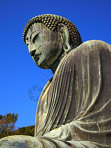 日本宫仓的巨大佛陀图片