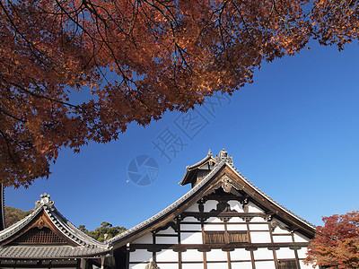 秋天的天龙二寺木头旅游阳光橙子观光景点旅行季节公园红色图片