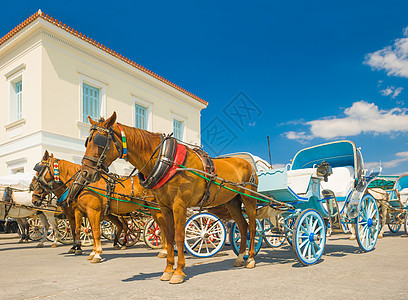 希腊斯佩茨岛传统马匹在希腊Spetses岛搭乘出租车图片