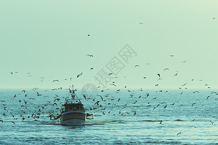 渔船游戏水平渔业海岸线海鸥商业拖网摄影渔网图片
