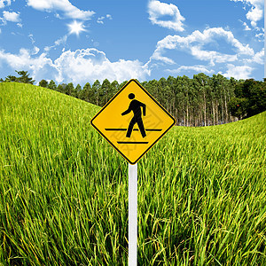 具有地貌背景的十字路口标志 农村旅行概念景观运输长方形交通热带环境标志教育路标注意力图片