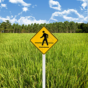 农村旅行概念 带稻田的十字路标牌图片