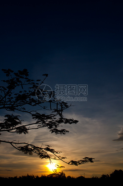 树木和日落的树木摄影天空蓝色橙子太阳阳光美丽阴影乡村图片